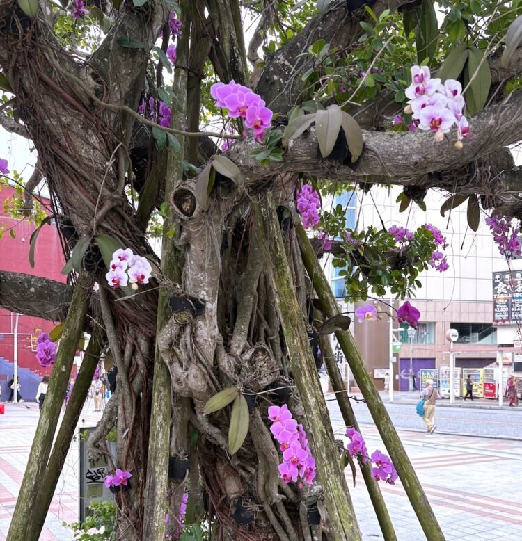 沖縄那覇